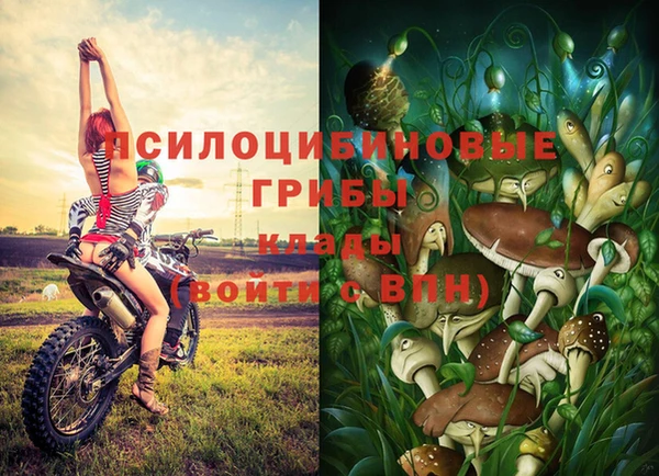 винт Алексеевка