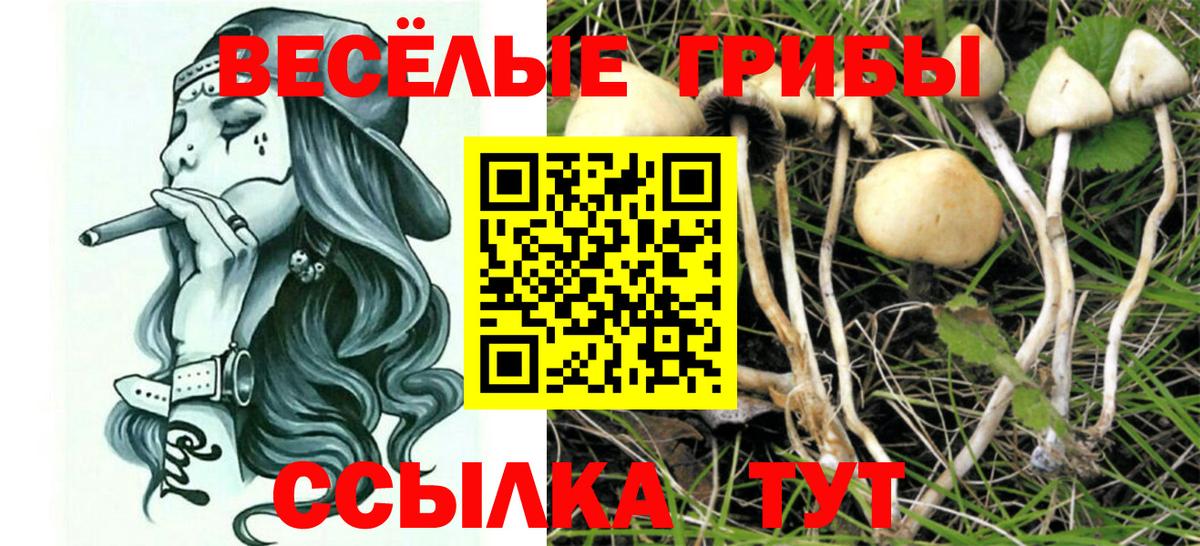 Галлюциногенные грибы мухоморы Ижевск