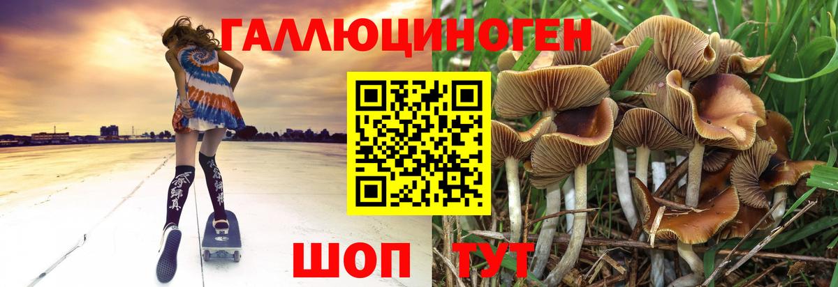 Ижевск  Псилоцибиновые грибы Psilocybine cubensis  Галлюциногенные грибы ЛСД  Вход с VPN 