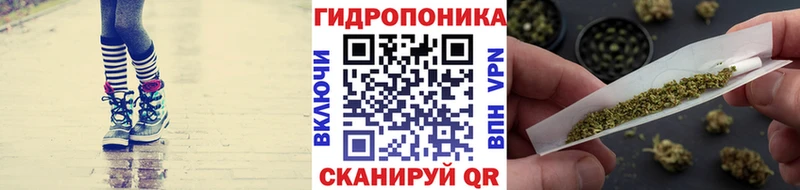 hydra   Ижевск  Шишки марихуана тримм 